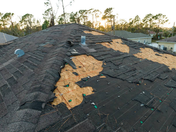 Best Roof Coating and Sealing  in Lexington Hills, CA